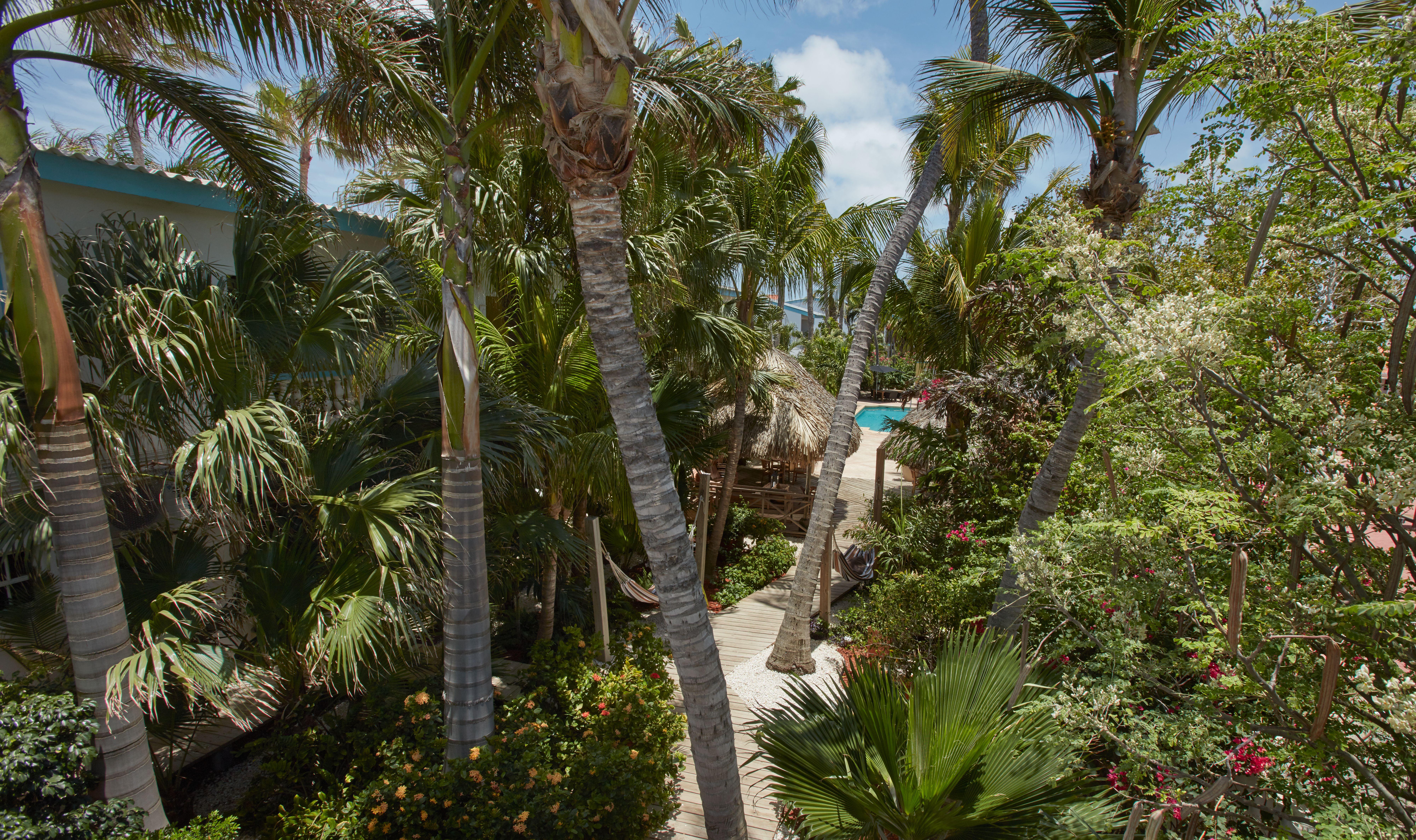 Paradera Park Aruba Oranjestad Exterior foto